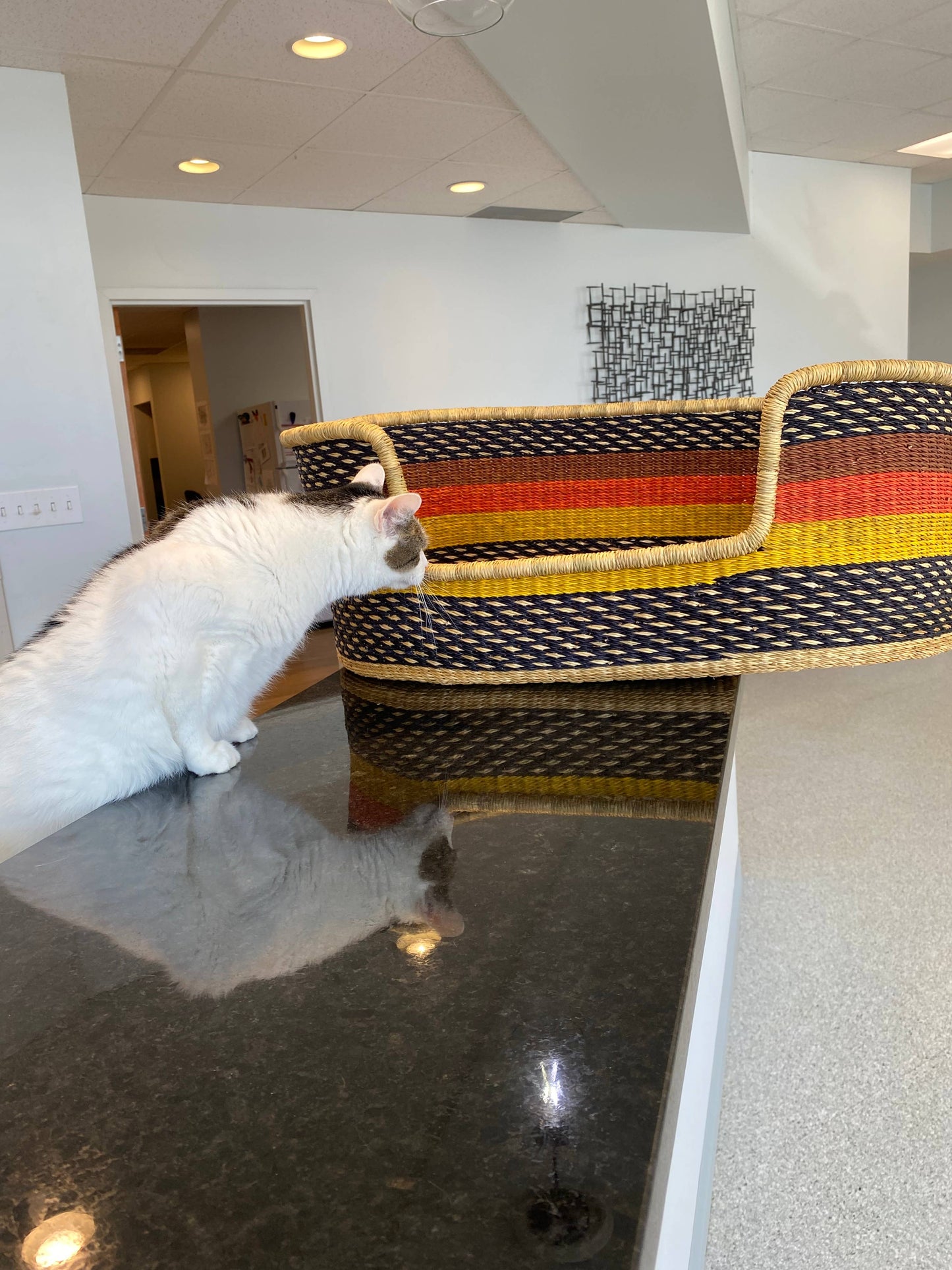 Pet Bed, grass handwoven