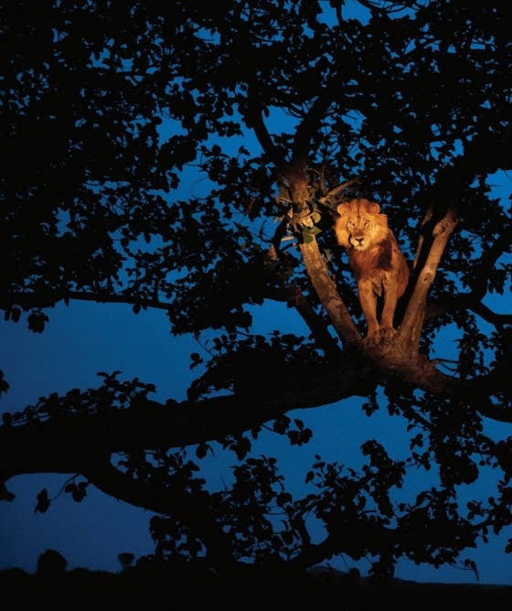 National Geographic The Photographs