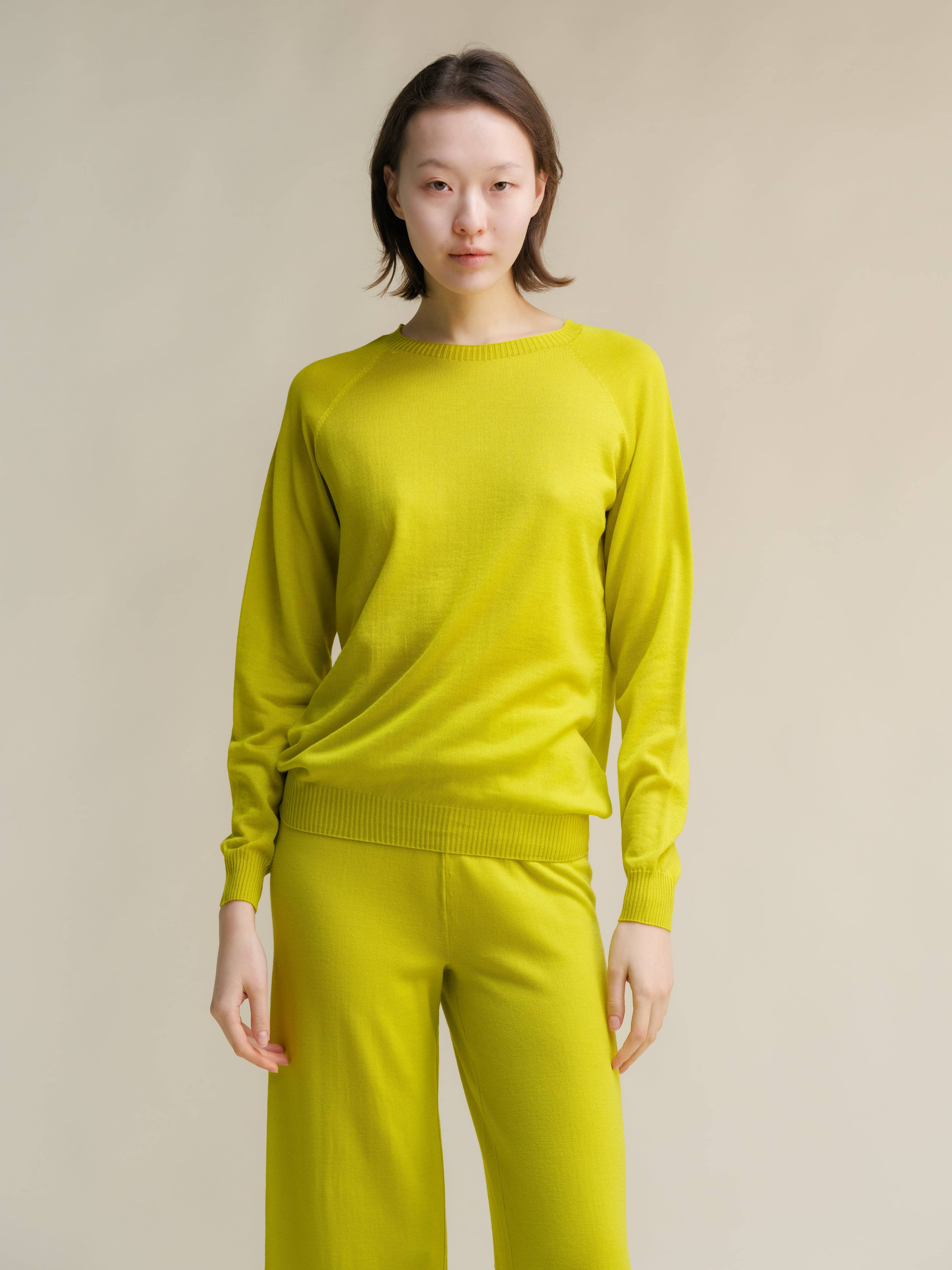 Extra Fine Merino Wool Crewneck Sweater