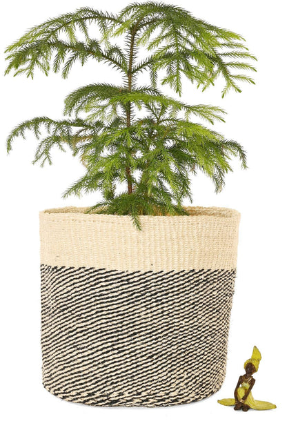 Large Black and Cream Twill Sisal Bin Basket