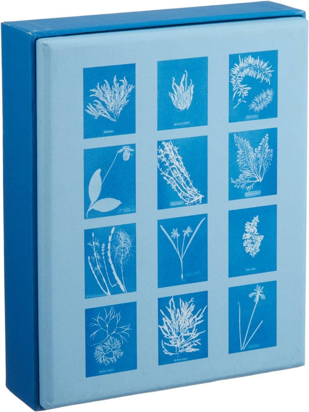 Sunprint Notecards