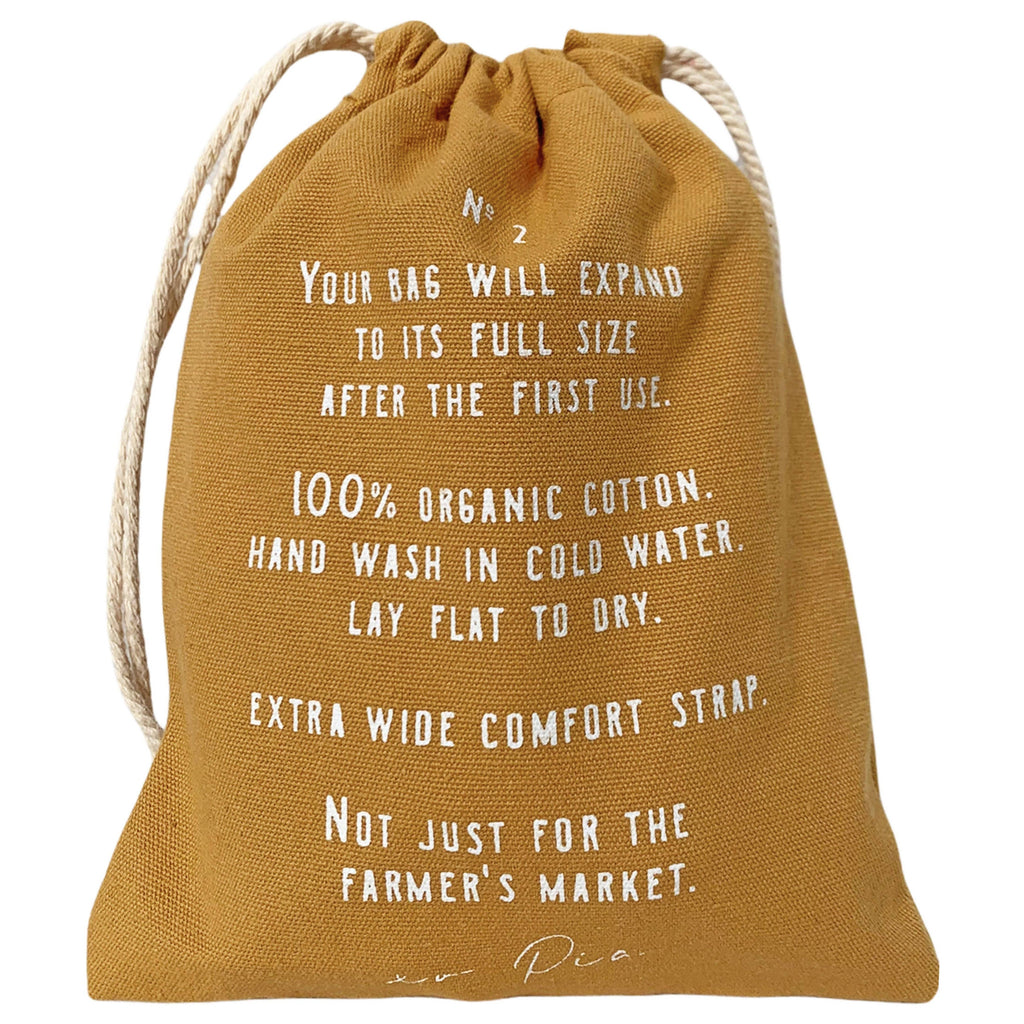 The french market bag