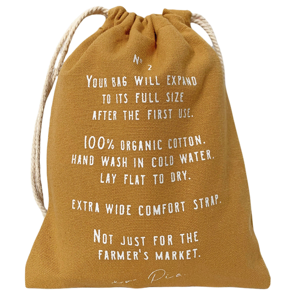 The french market bag