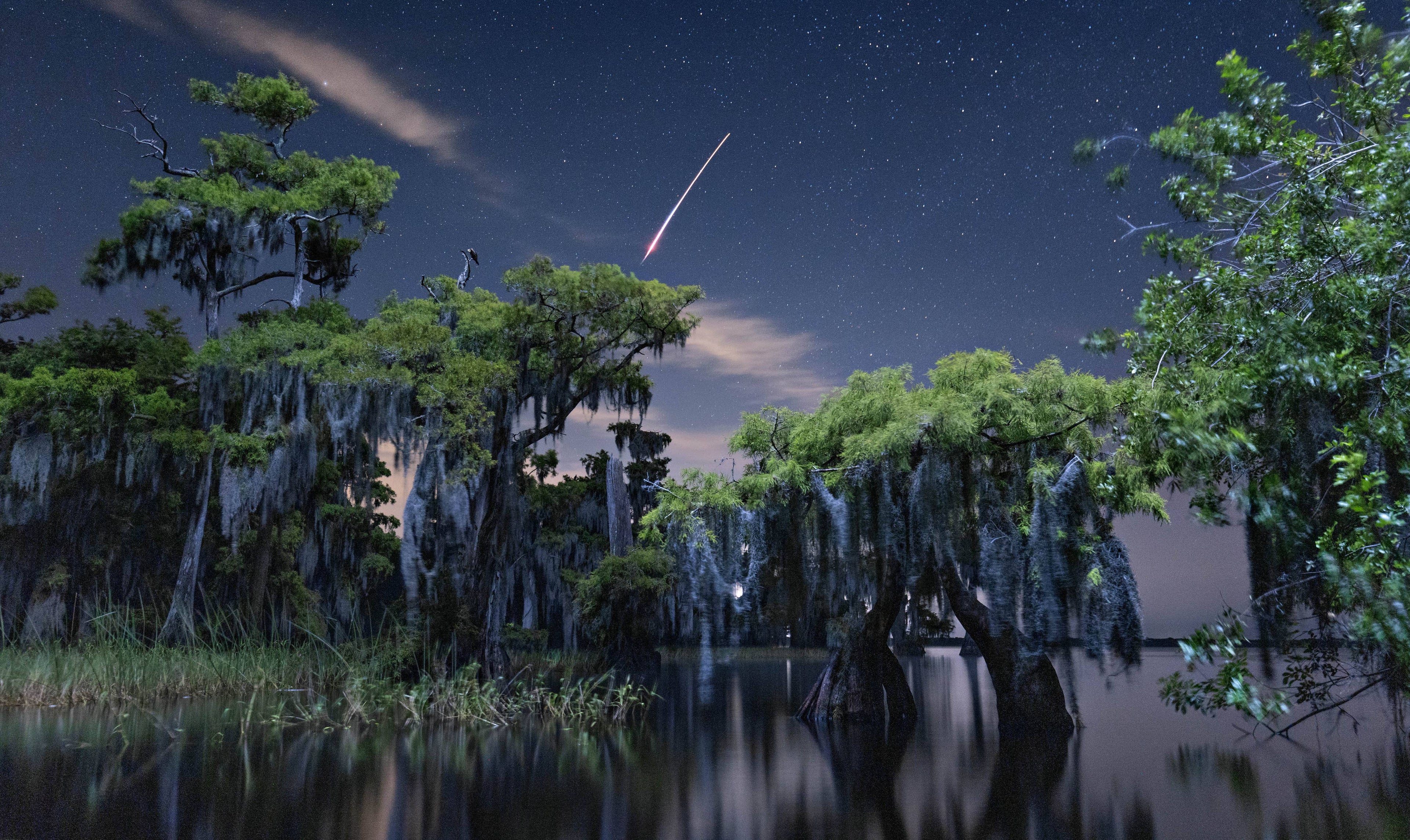 National Geographic The Photographs