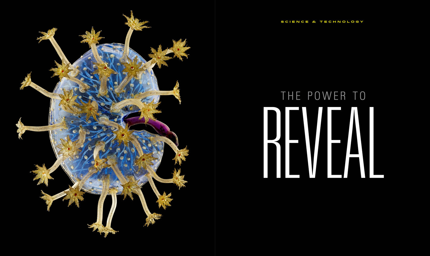 National Geographic The Photographs