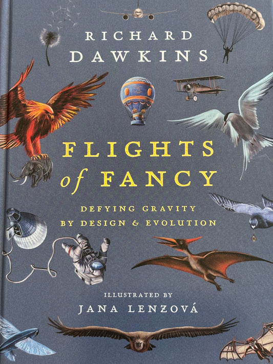 Flights of Fancy: Defying Gravity by Design and Evolution
