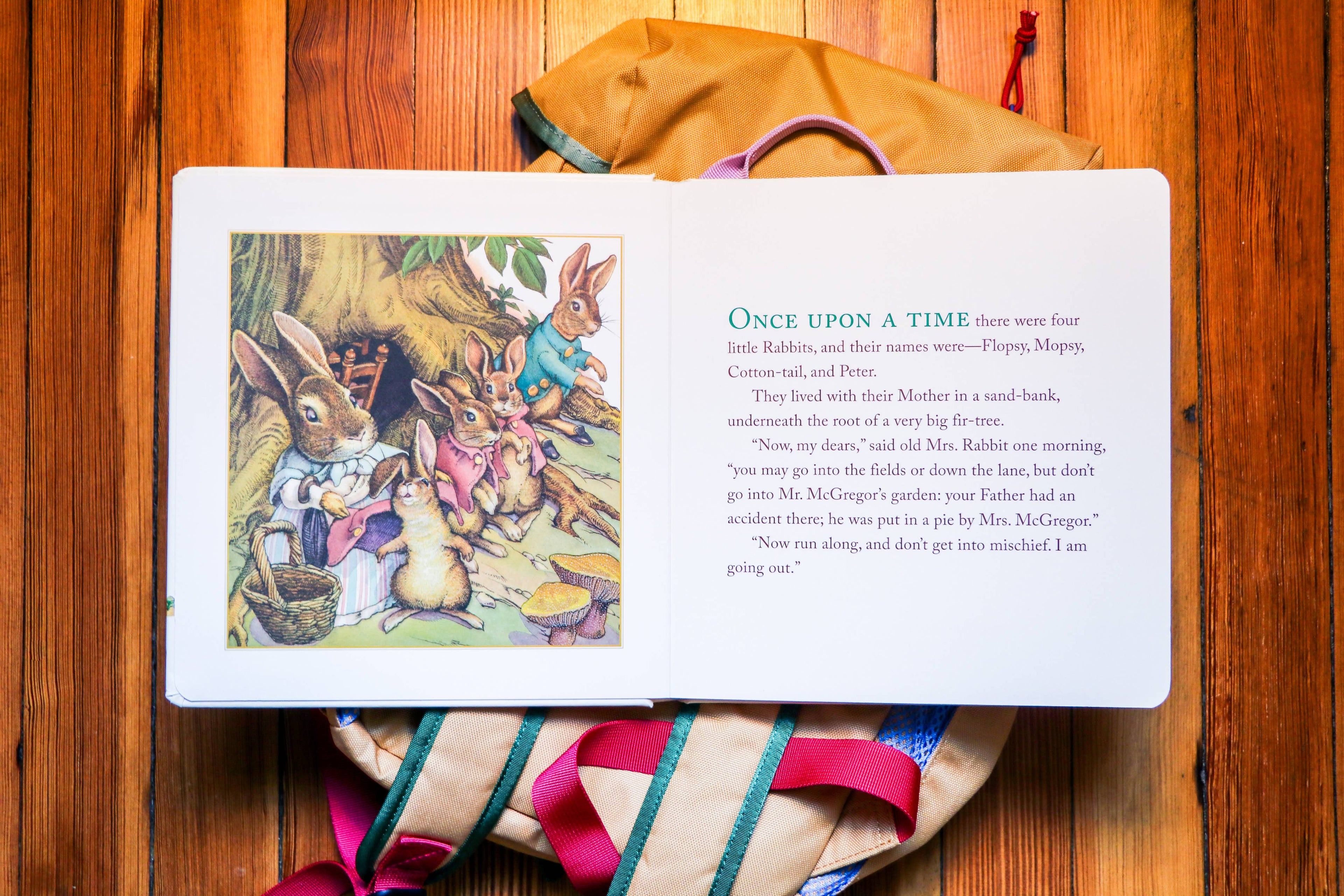 The Classic Tale of Peter Rabbit Board Book