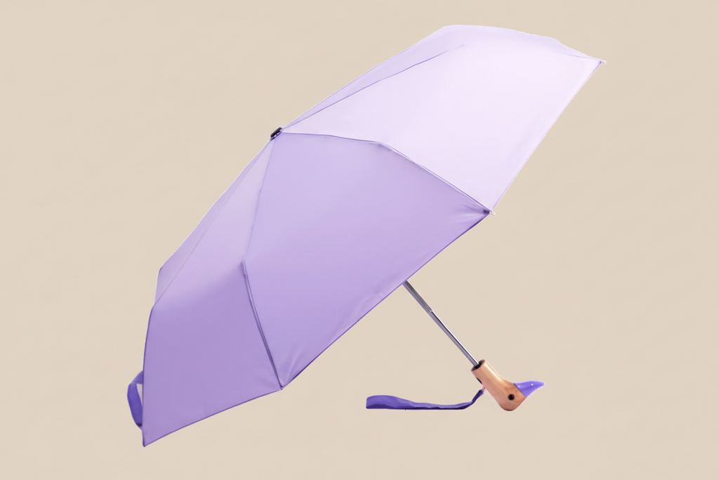 Colour Pop Eco Umbrella