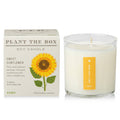 Sweet Sunflower - Plant the Box Candle - 9oz.