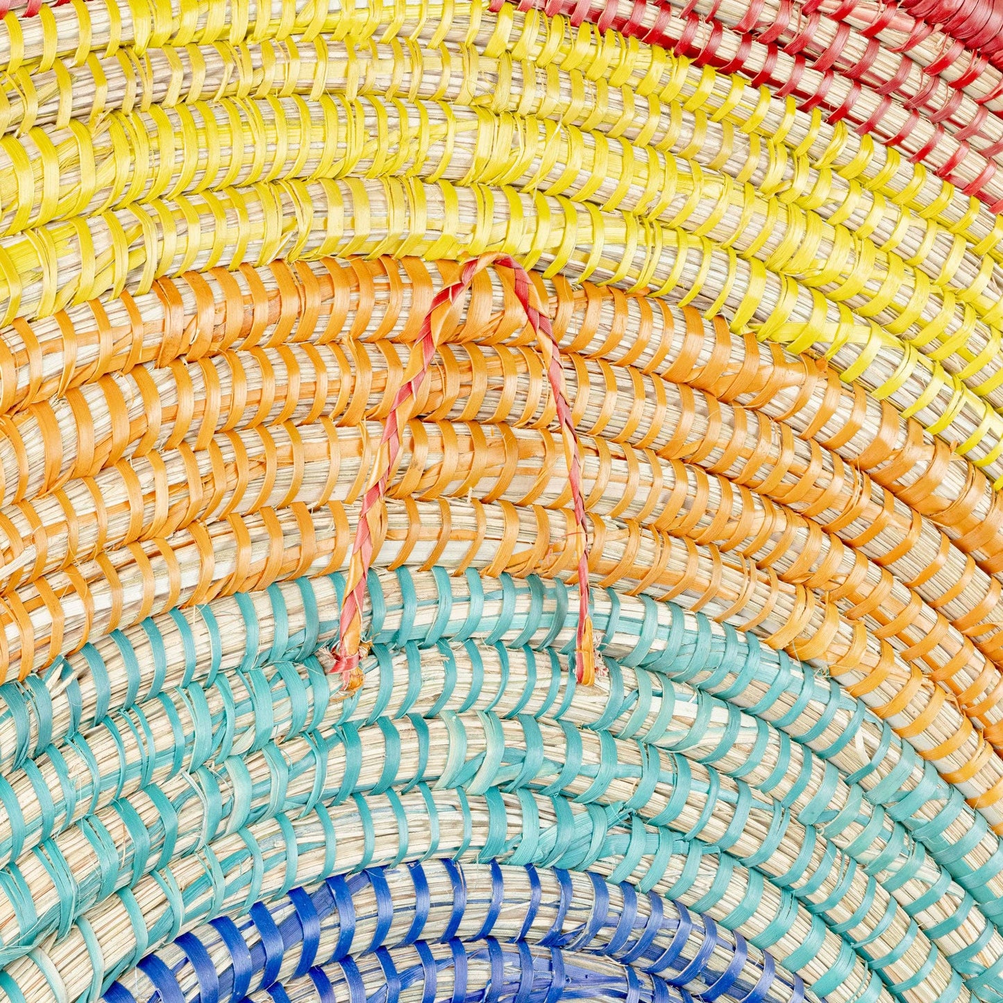 Large Rainbow Palm Wall Sculpture