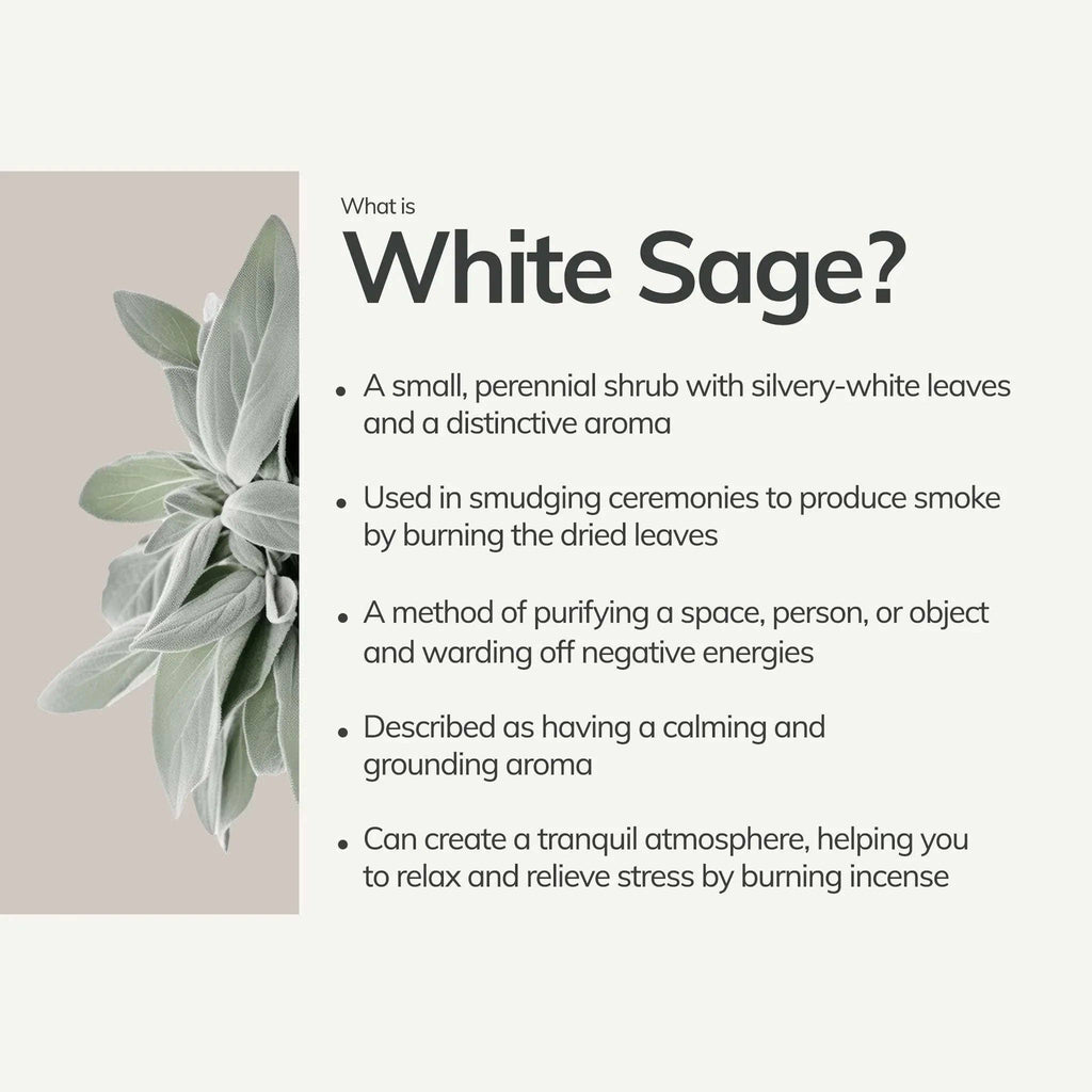White Sage Incense 7 Sticks
