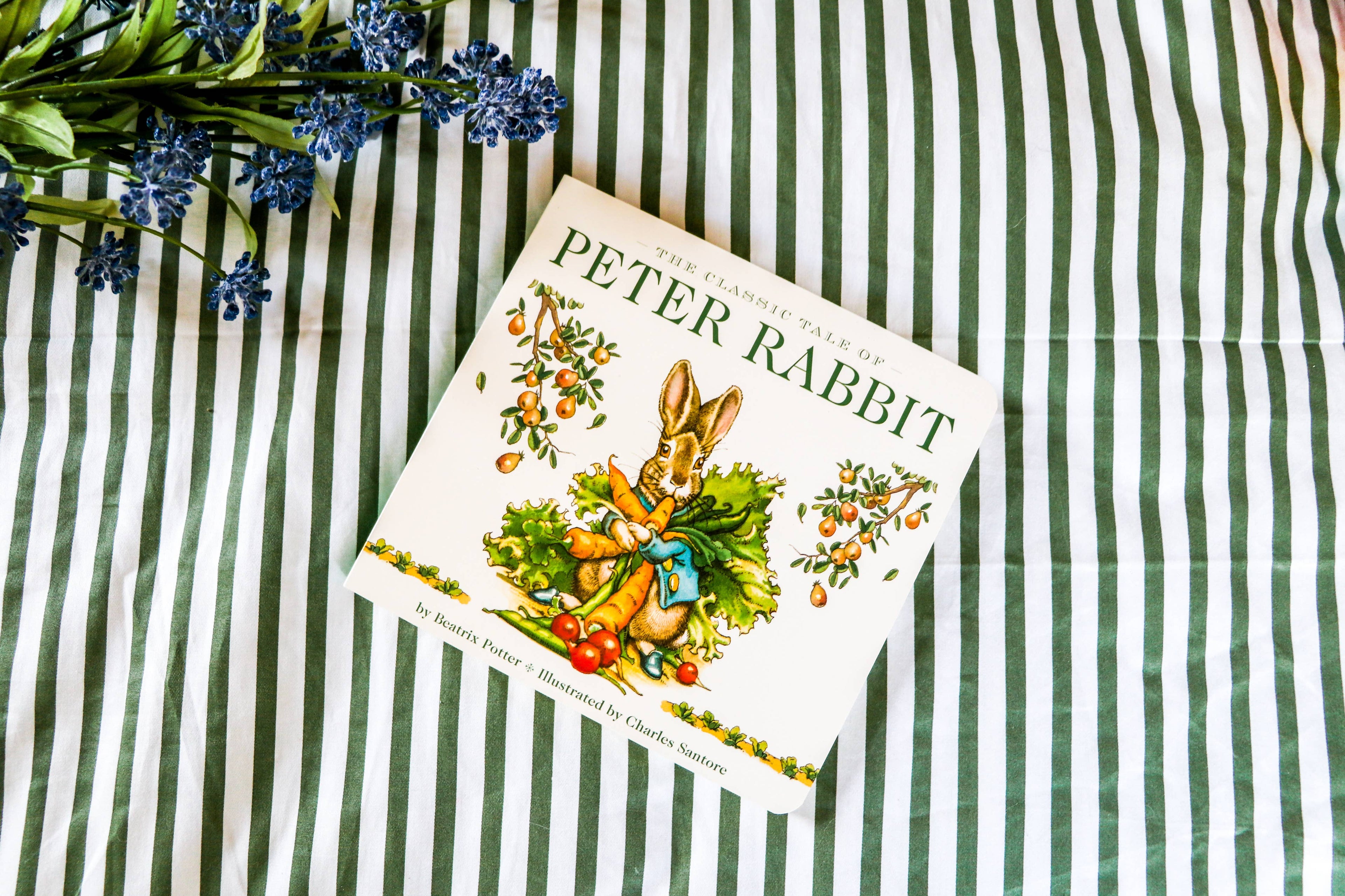 The Classic Tale of Peter Rabbit Board Book