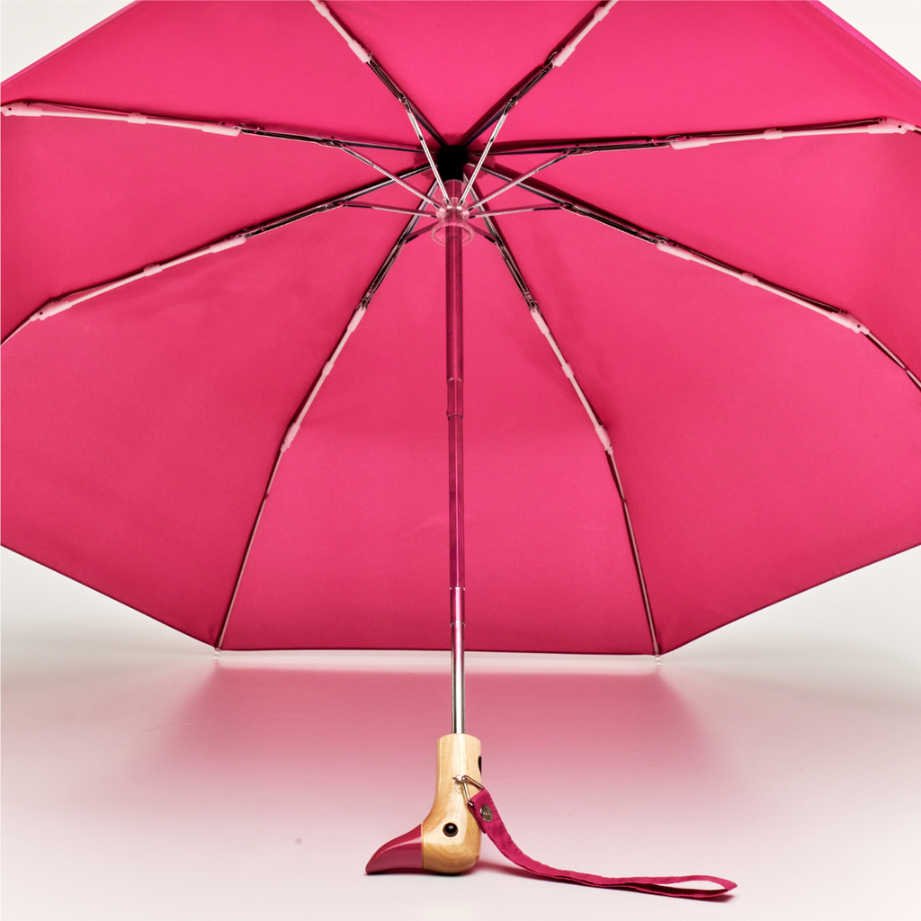 Colour Pop Eco Umbrella