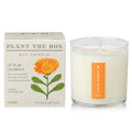 Catalan Calendula - Plant the Box Candle - 9oz.