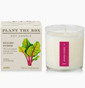 Plant The Box Rhubarb Candle
