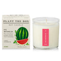 Plant The Box Watermelon Candle